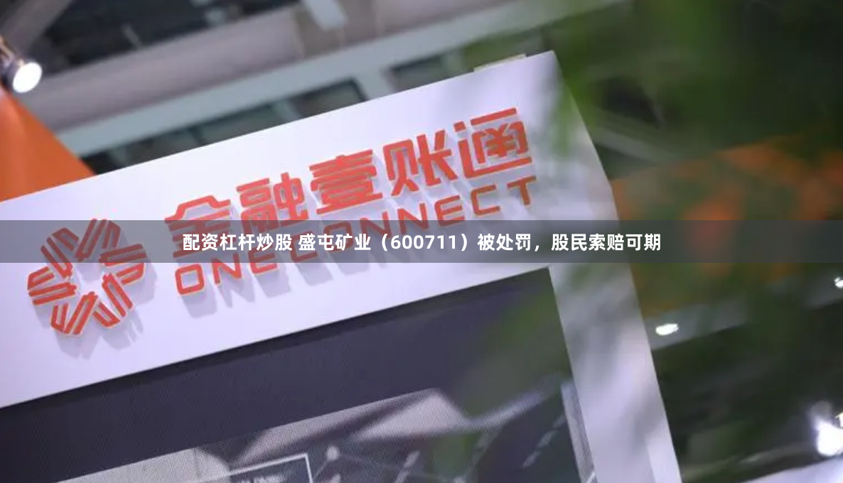 配资杠杆炒股 盛屯矿业（600711）被处罚，股民索赔可期