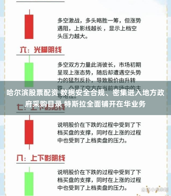 哈尔滨股票配资 数据安全合规、密集进入地方政府采购目录 特斯拉全面铺开在华业务