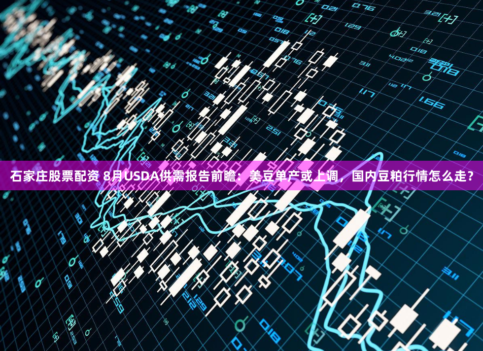 石家庄股票配资 8月USDA供需报告前瞻：美豆单产或上调，国内豆粕行情怎么走？