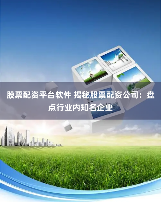 股票配资平台软件 揭秘股票配资公司：盘点行业内知名企业